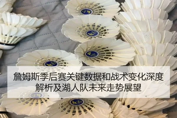 詹姆斯季后赛关键数据和战术变化深度解析及湖人队未来走势展望